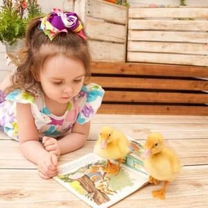 Meet your Posher, Bonnie